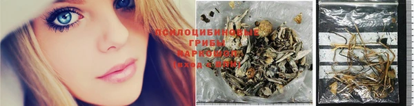 первитин Новодвинск